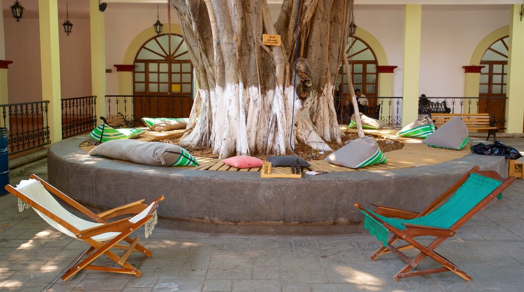 Museu Victoriano Nieves Céspedes caracterizando um jardim