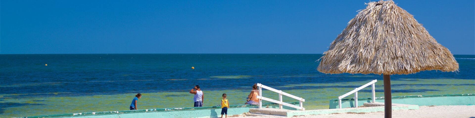 Bonita Beach showing tropical scenes, general coastal views and a beach