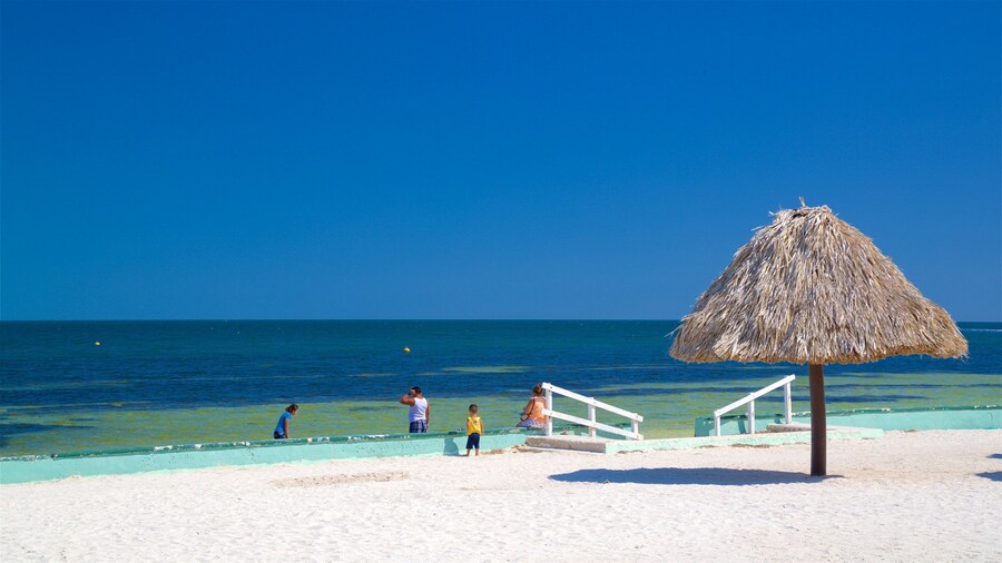 Bonita Beach featuring tropical scenes, a sandy beach and general coastal views