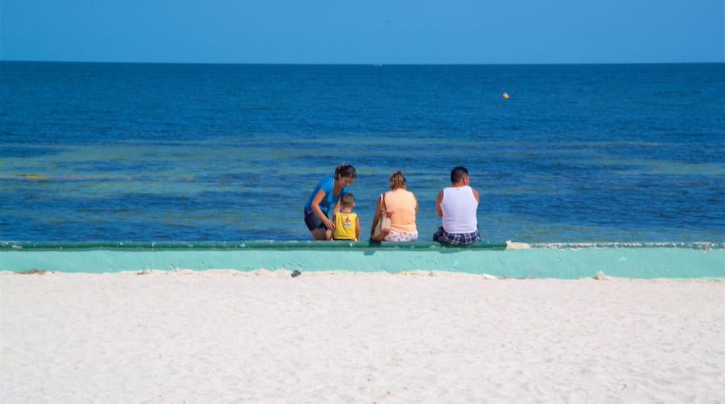 Bonita Beach featuring general coastal views, tropical scenes and a sandy beach