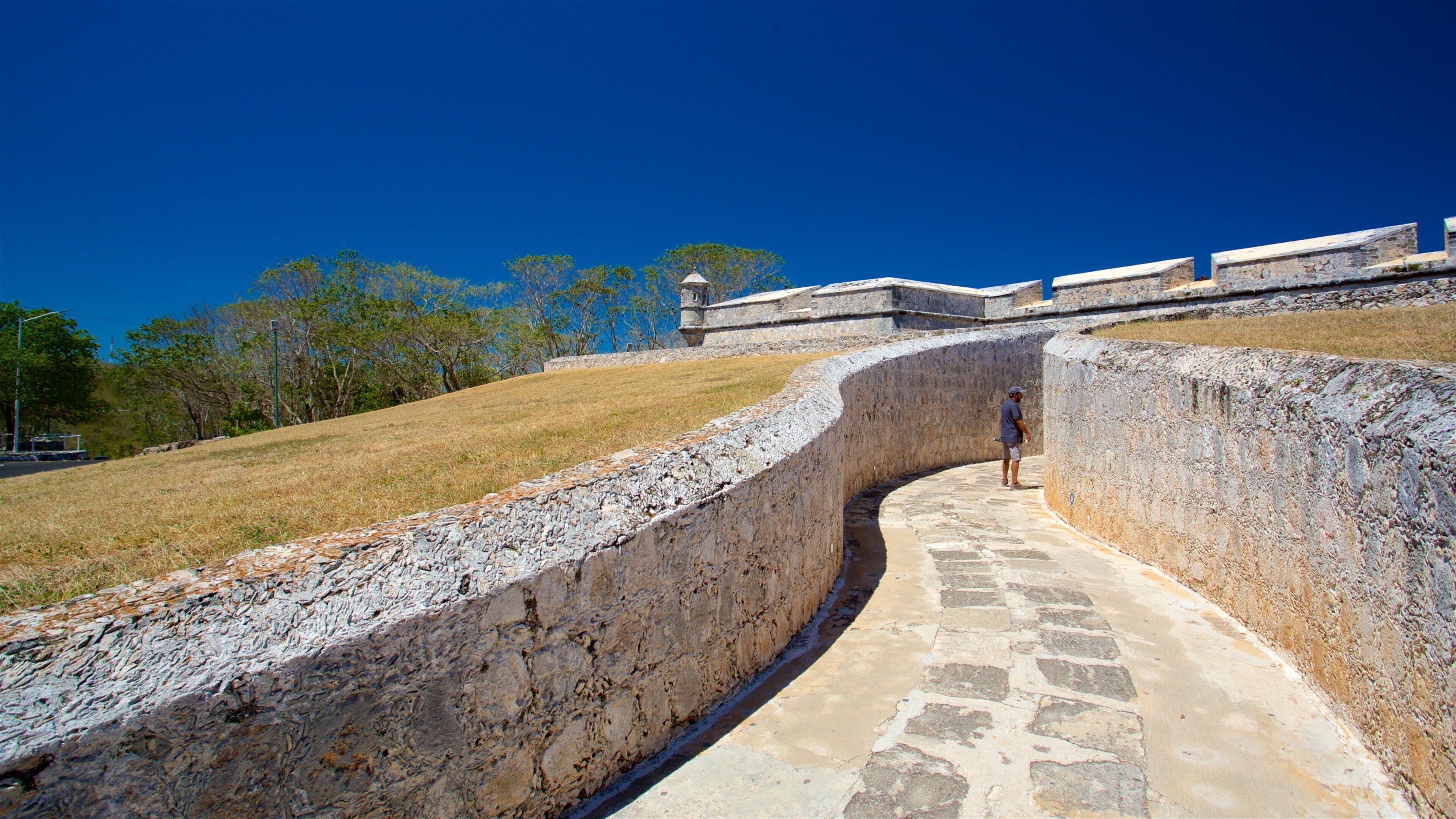 Museo Arqueológico de Campeche & Fuerte de San Miguel joka esittää vanha arkkitehtuuri sekä yksi mies