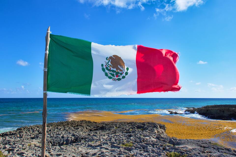 Una bandera en una costa rocosa, con el océano al fondo.