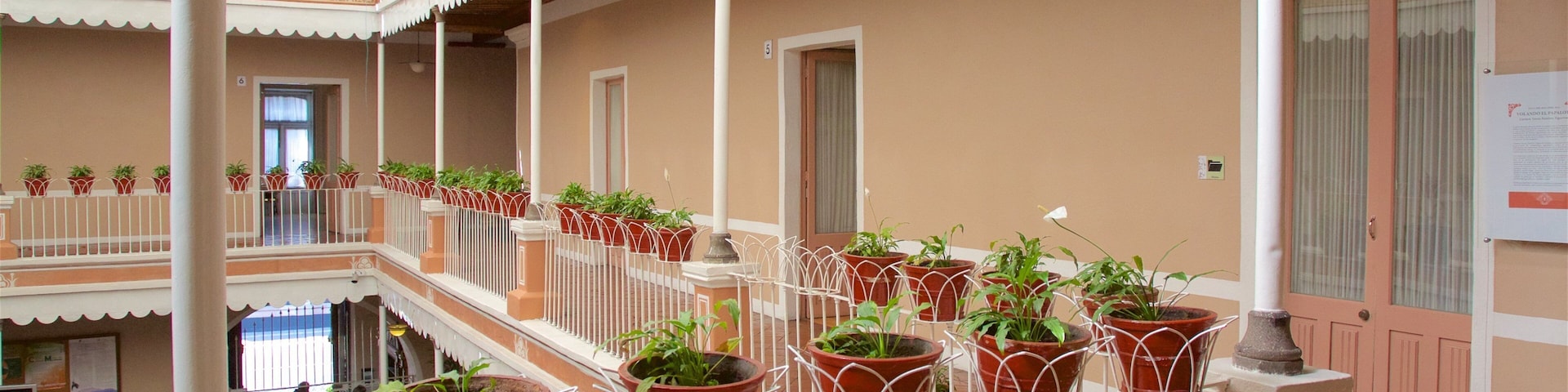 Toluca which includes interior views