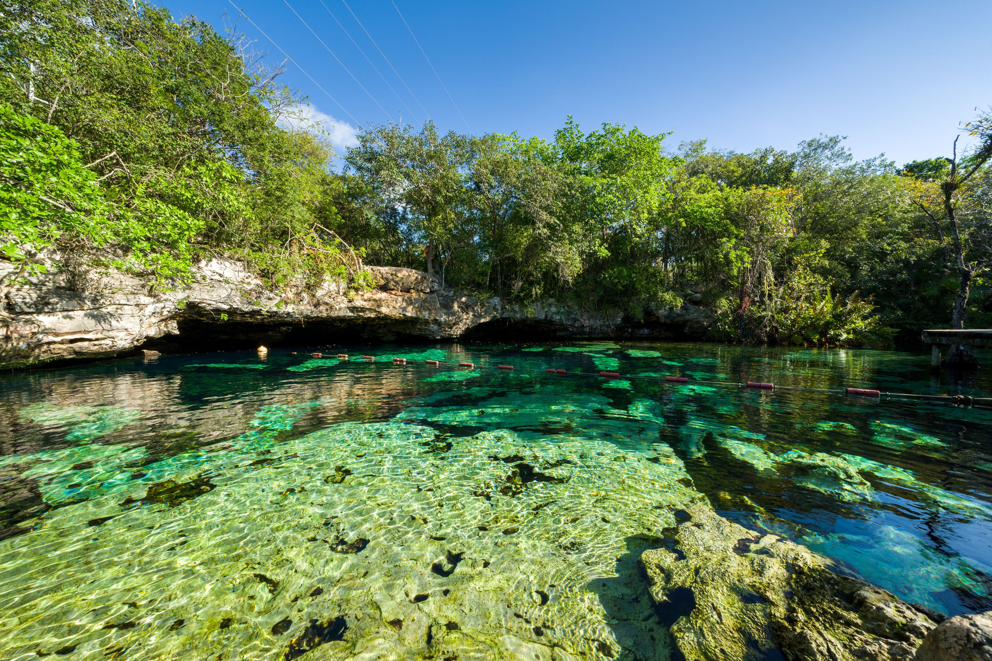 Cenote Azul, Riviera Maya, Playa Del Carmen, Mexico