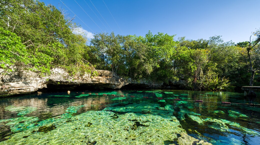Cenote Azul, Riviera Maya, Playa Del Carmen, Mexico