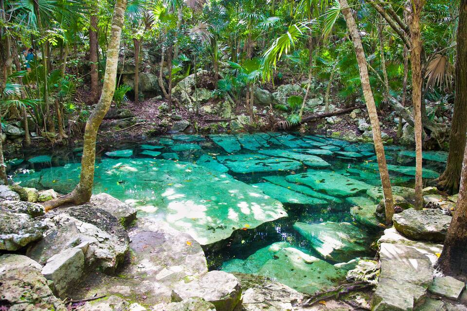 A clear, turquoise pool surrounded by rocks and tropical vegetation.