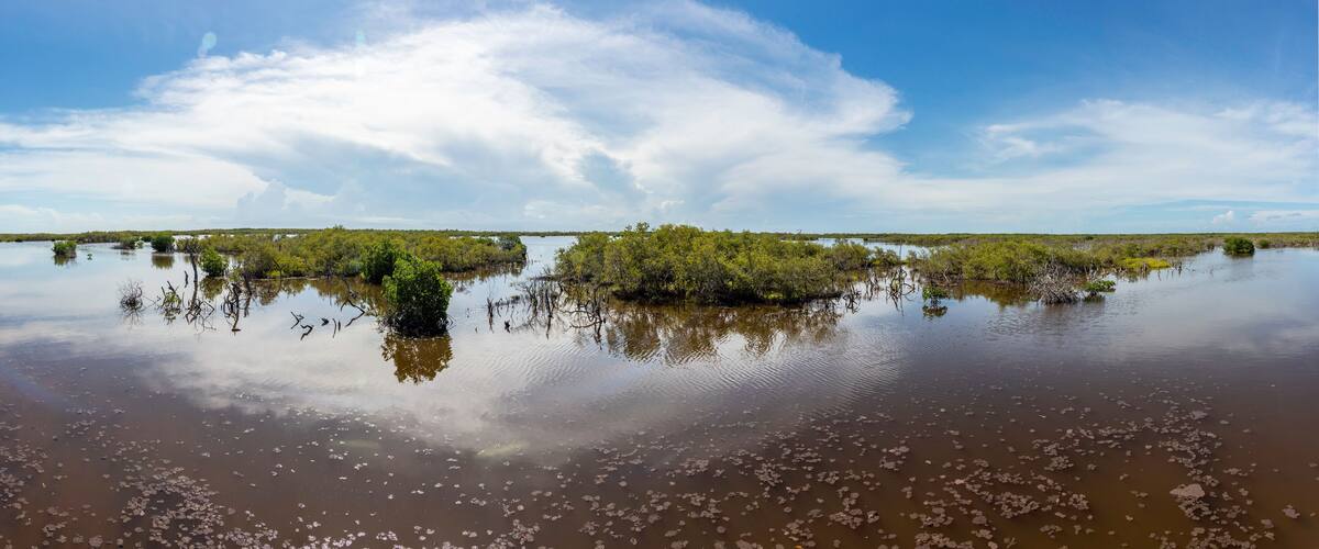 A calm water body surrounded by dense green vegetation under a clear sky.