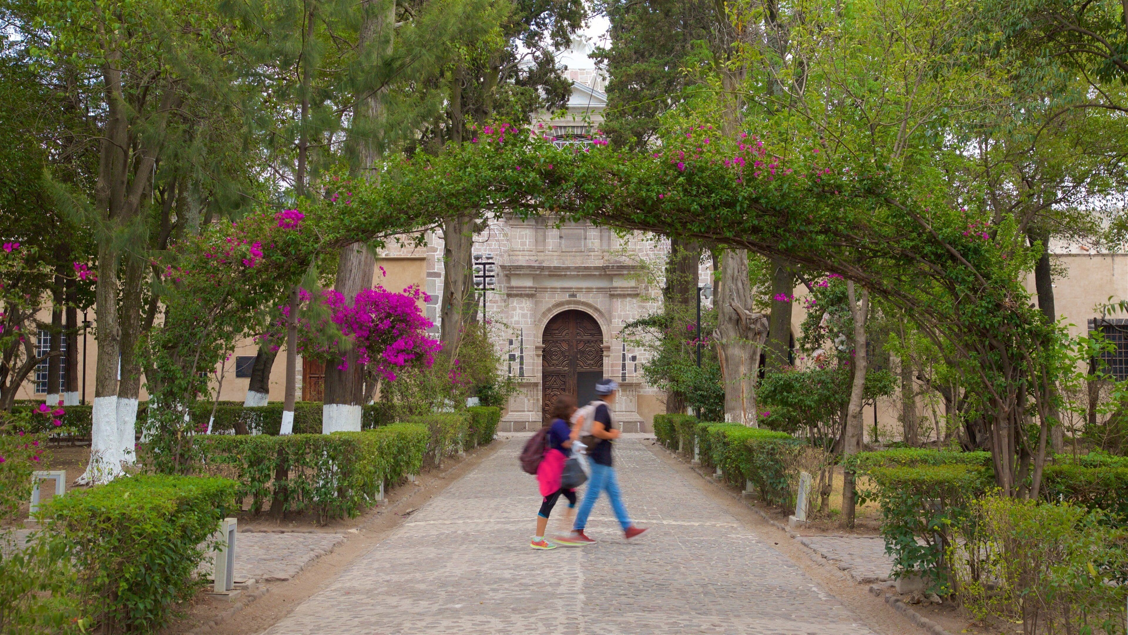 National Museum of the Viceroyalty featuring wildflowers and a park as well as a couple