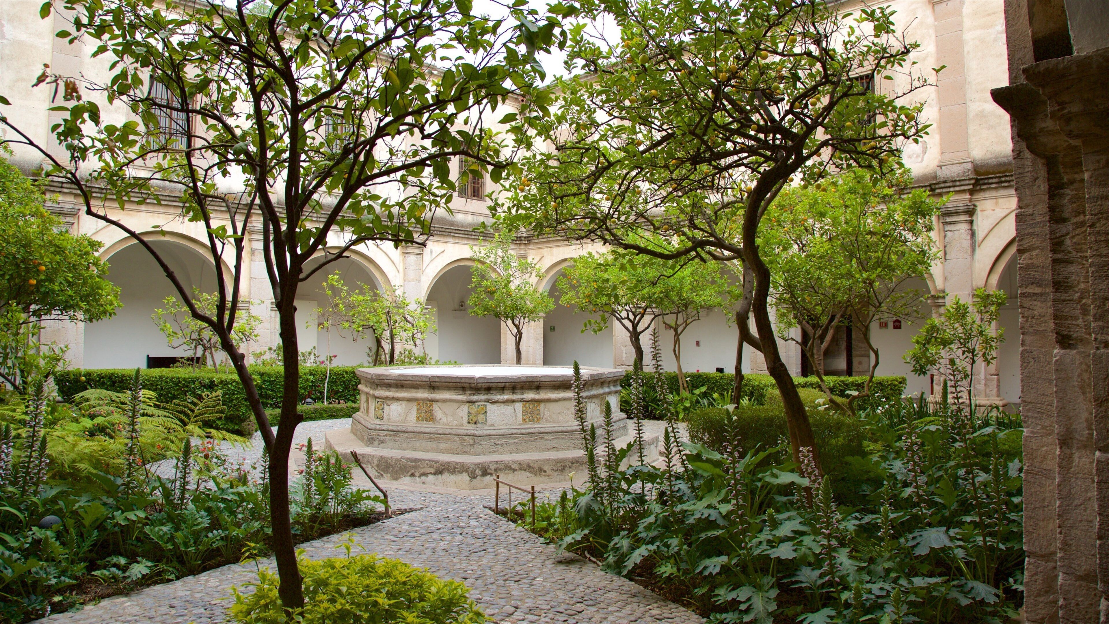 Tula de Allende featuring a park, a square or plaza and heritage elements