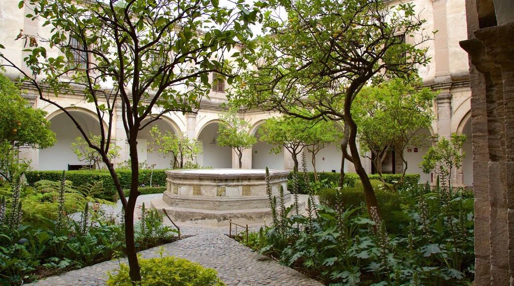 Tula de Allende featuring a park, a square or plaza and heritage elements