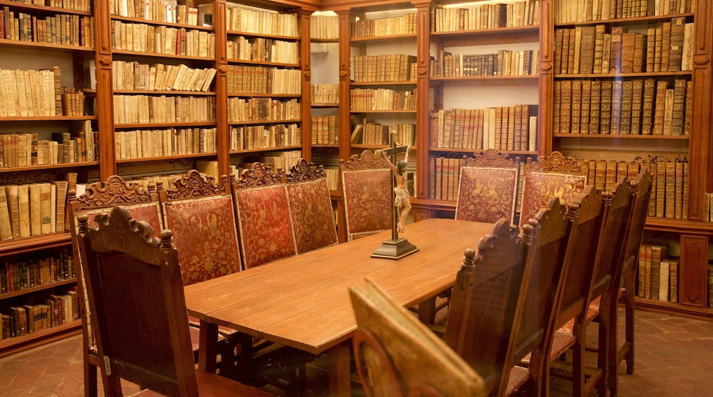 National Museum of the Viceroyalty showing interior views and heritage elements