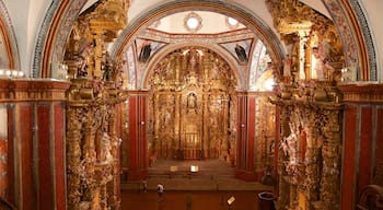 Tula de Allende inclusief interieur, historisch erfgoed en een kerk of kathedraal