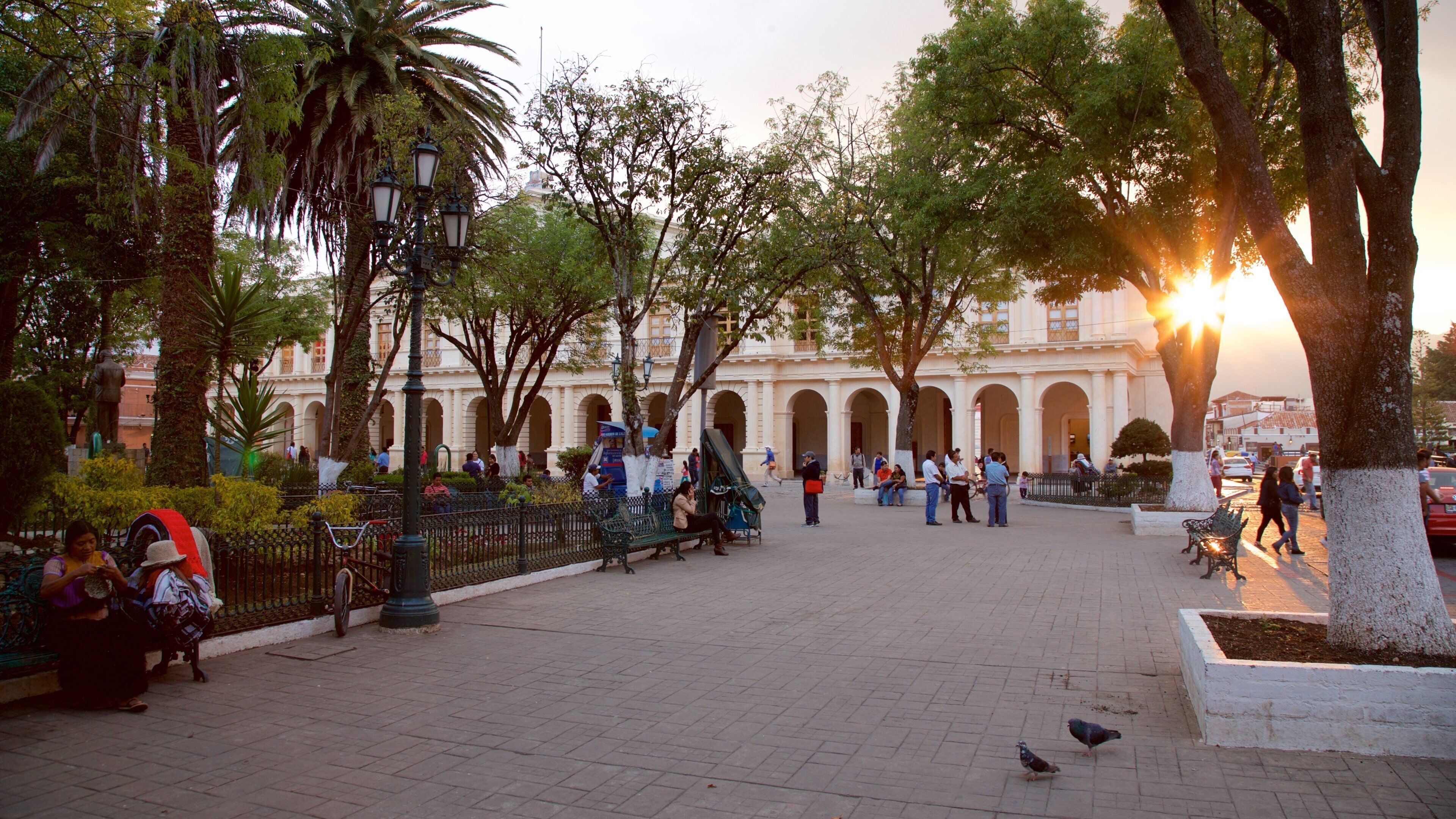 Plaza 31 de Marzo showing a sunset and a park as well as a small group of people