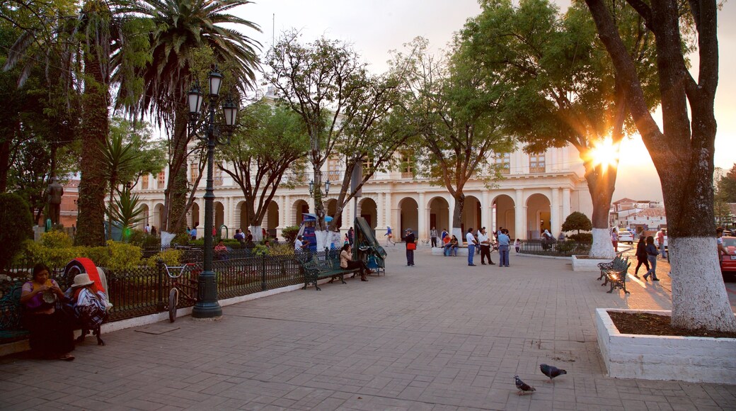 Plaza 31 de Marzo showing a sunset and a park as well as a small group of people