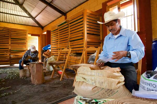 Maya-Medizinmuseum welches beinhaltet Innenansichten sowie einzelner Mann