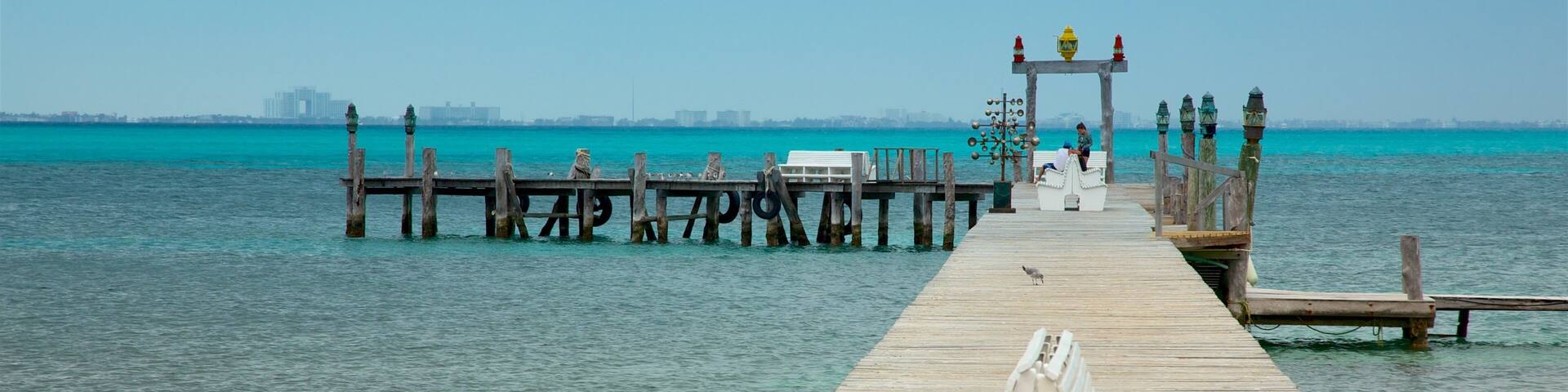 イスラ ムヘーレス どの含み 海岸線の眺め と 常夏の風景