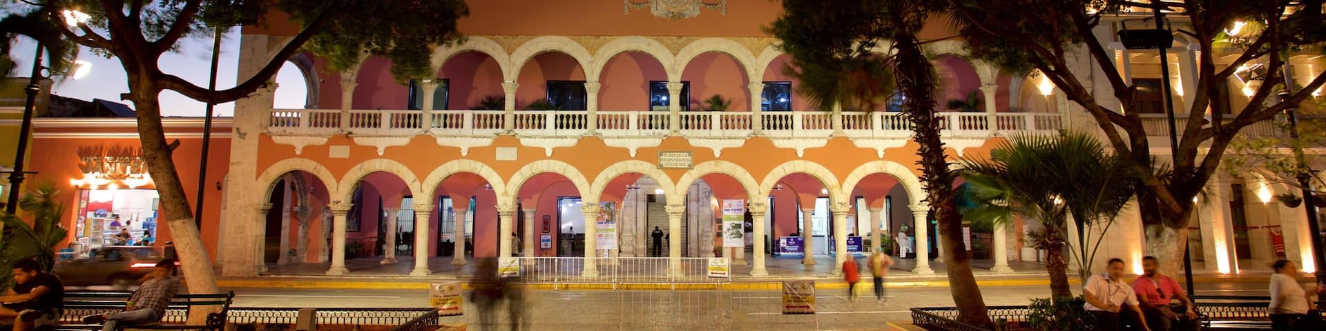 Municipal Palace of Merida which includes night scenes and heritage elements