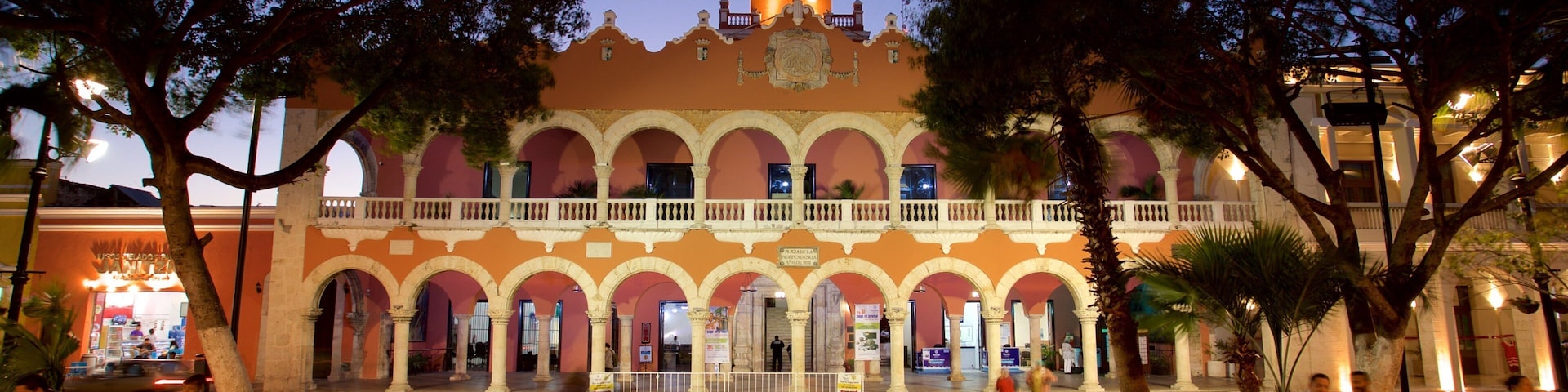 Municipal Palace of Merida which includes night scenes and heritage elements