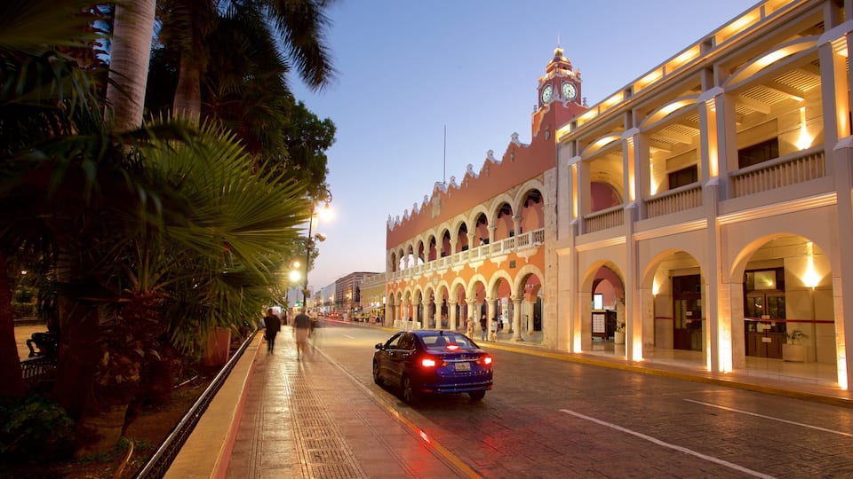 Palacio Municipal showing heritage elements and night scenes