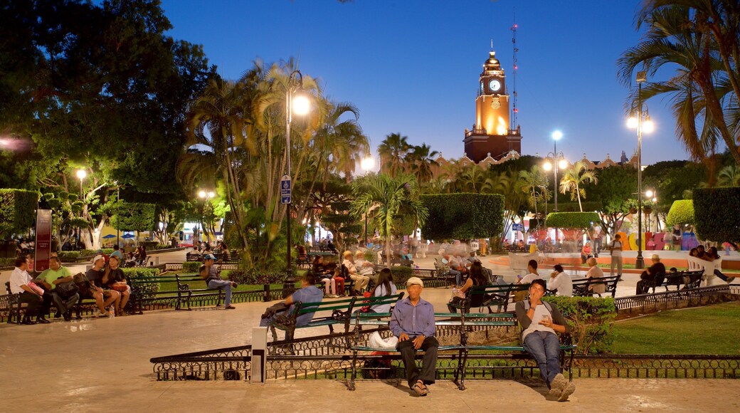 Palacio Municipal featuring a garden and night scenes as well as a small group of people