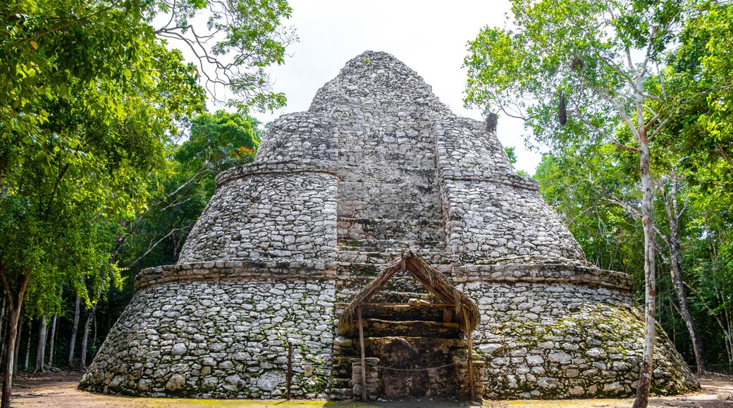 Coba Maya Ruins Xaibe building pyramid in tropical jungle Mexico.