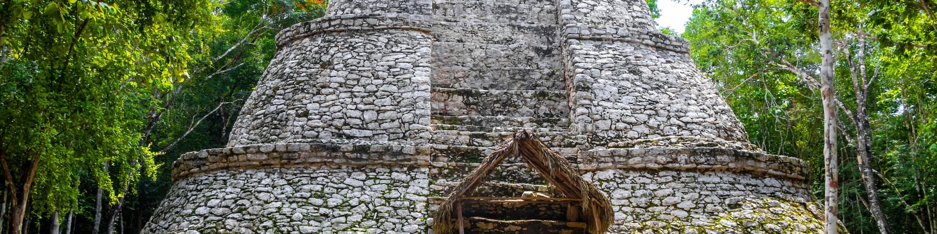 Una construcción de piedra con techo de paja, rodeada de árboles.