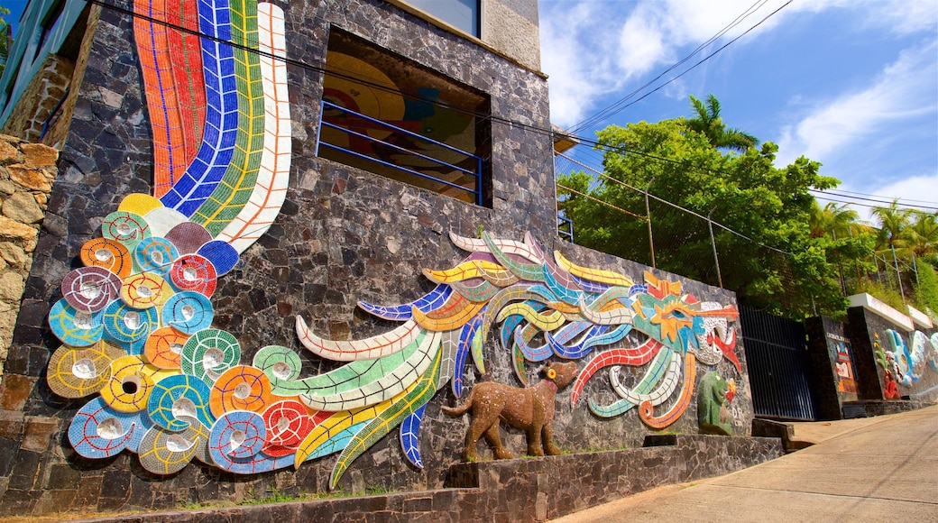 Museo Casa Estudio Diego Rivera y Frida Kahlo showing outdoor art
