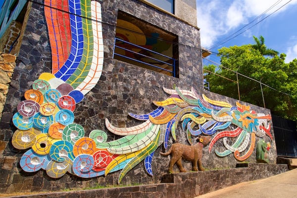 Museo Casa Estudio Diego Rivera y Frida Kahlo showing outdoor art