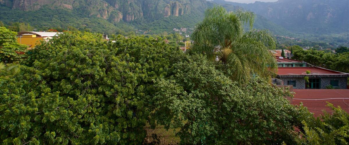 Tepoztlán que incluye escenas tranquilas y vistas de paisajes