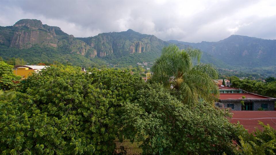 A lush green landscape with a prominent mountain range in the background and a building with a red roof in the foreground.