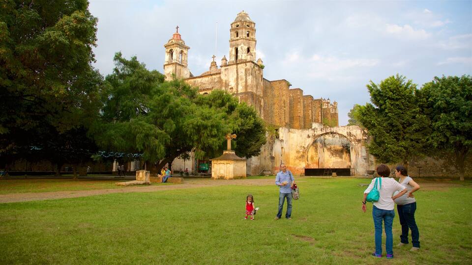 Una iglesia histórica con dos torres de campanas, rodeada de árboles verdes y un campo cubierto de césped.