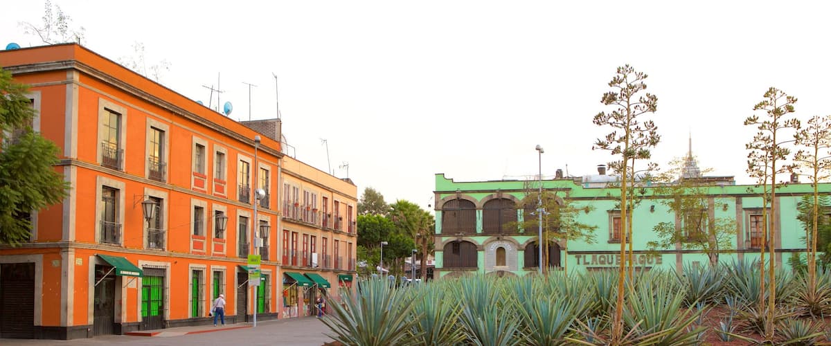 Mexico City which includes a square or plaza and a park