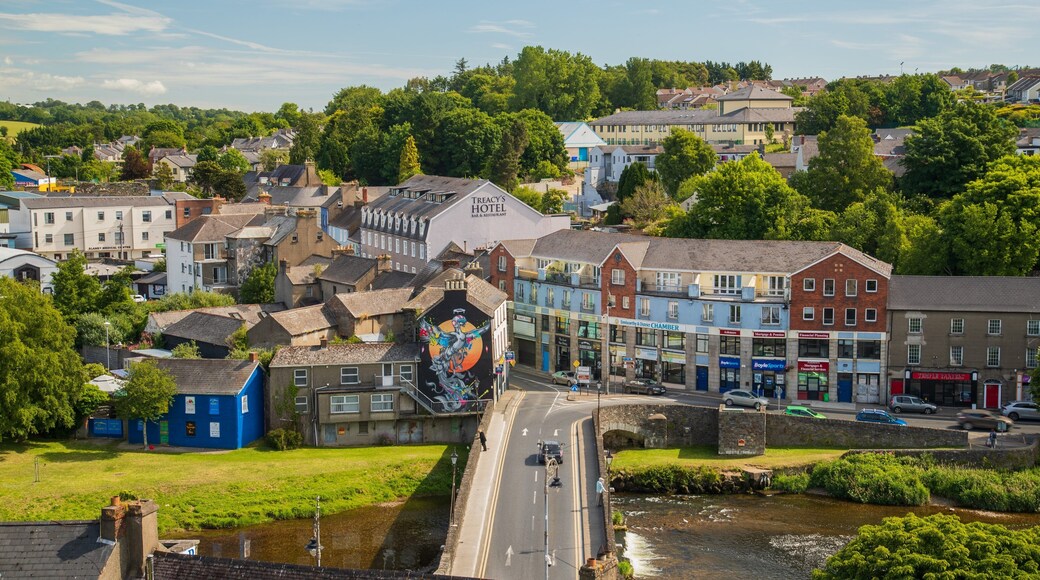 Enniscorthy Castle featuring landscape views