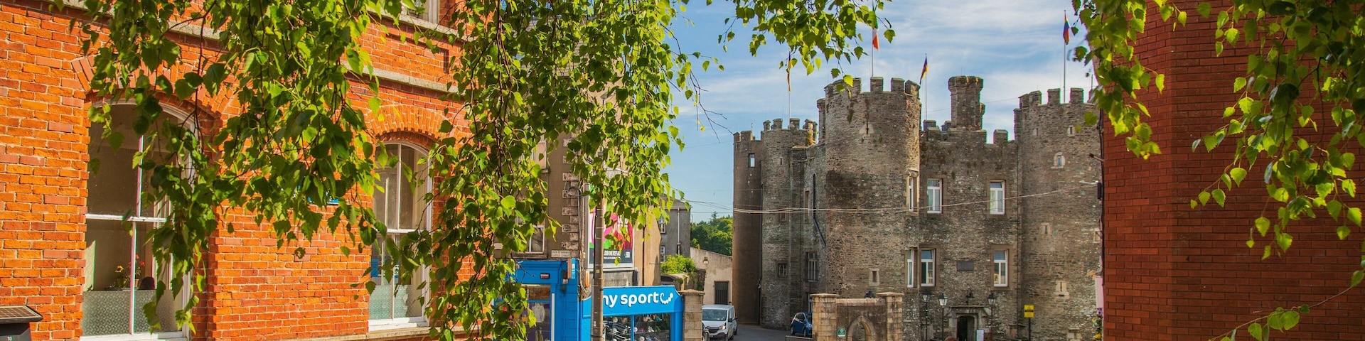 Enniscorthy Castle featuring a castle and heritage architecture