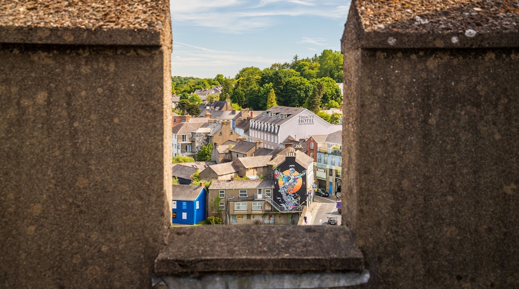 Enniscorthy Castle featuring heritage elements and views
