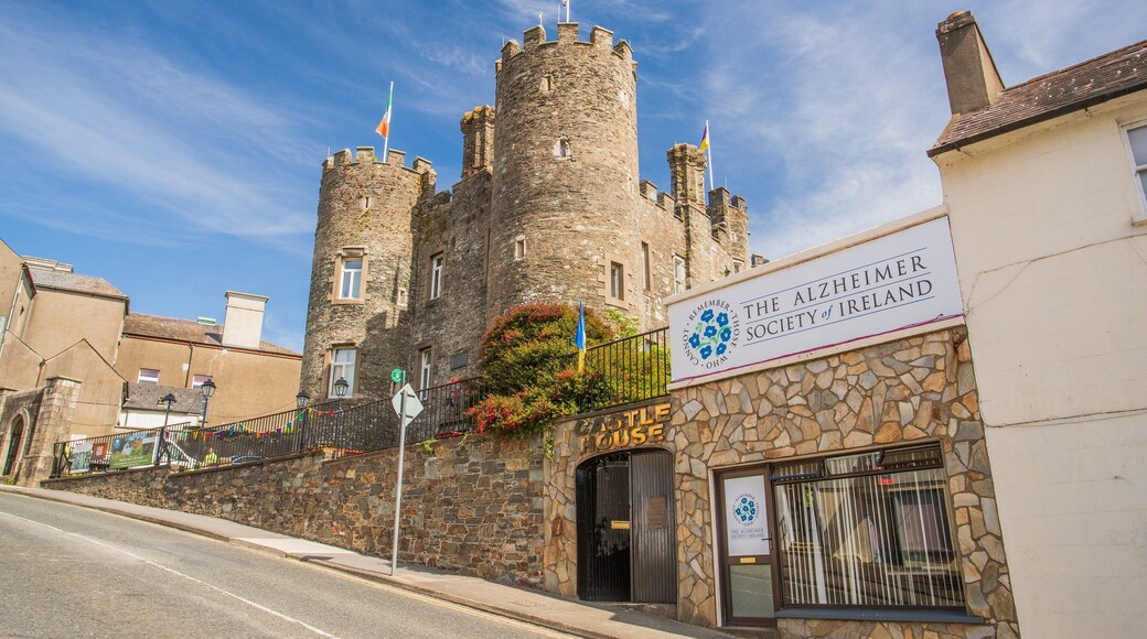 Enniscorthy Castle which includes heritage architecture and a church or cathedral