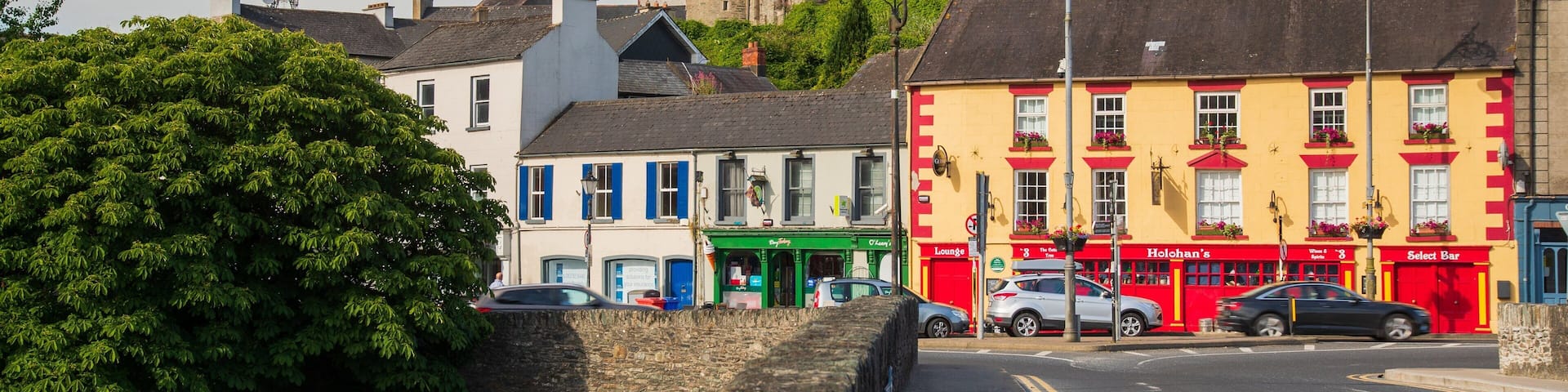 Enniscorthy Castle featuring heritage architecture and a castle