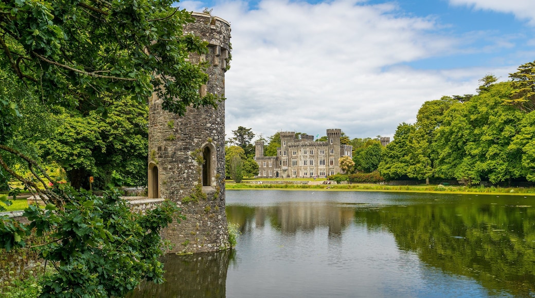 Johnstown Castle & Gardens showing chateau or palace, heritage architecture and a lake or waterhole