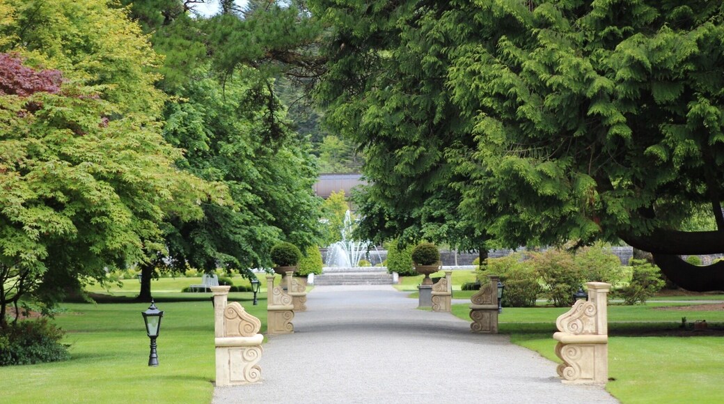 The grounds at Ashford Castle