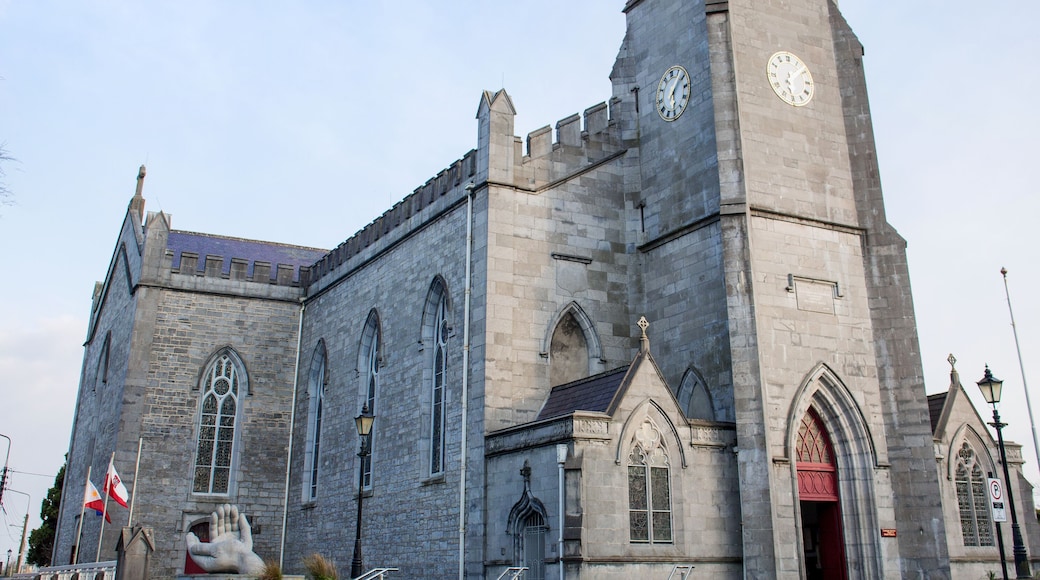 Catedral d'Ennis