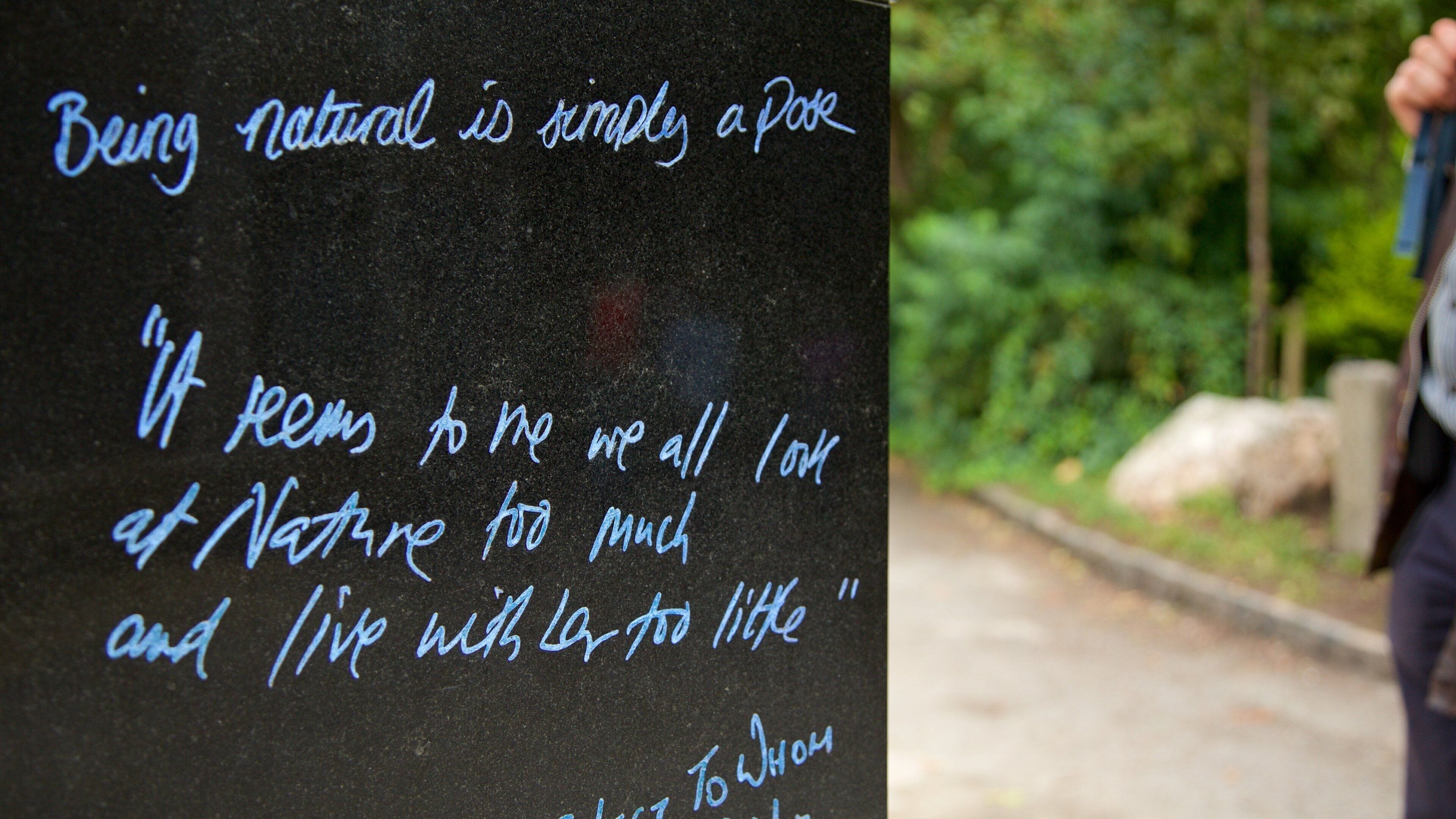 Oscar Wilde Statue which includes heritage elements, a monument and signage