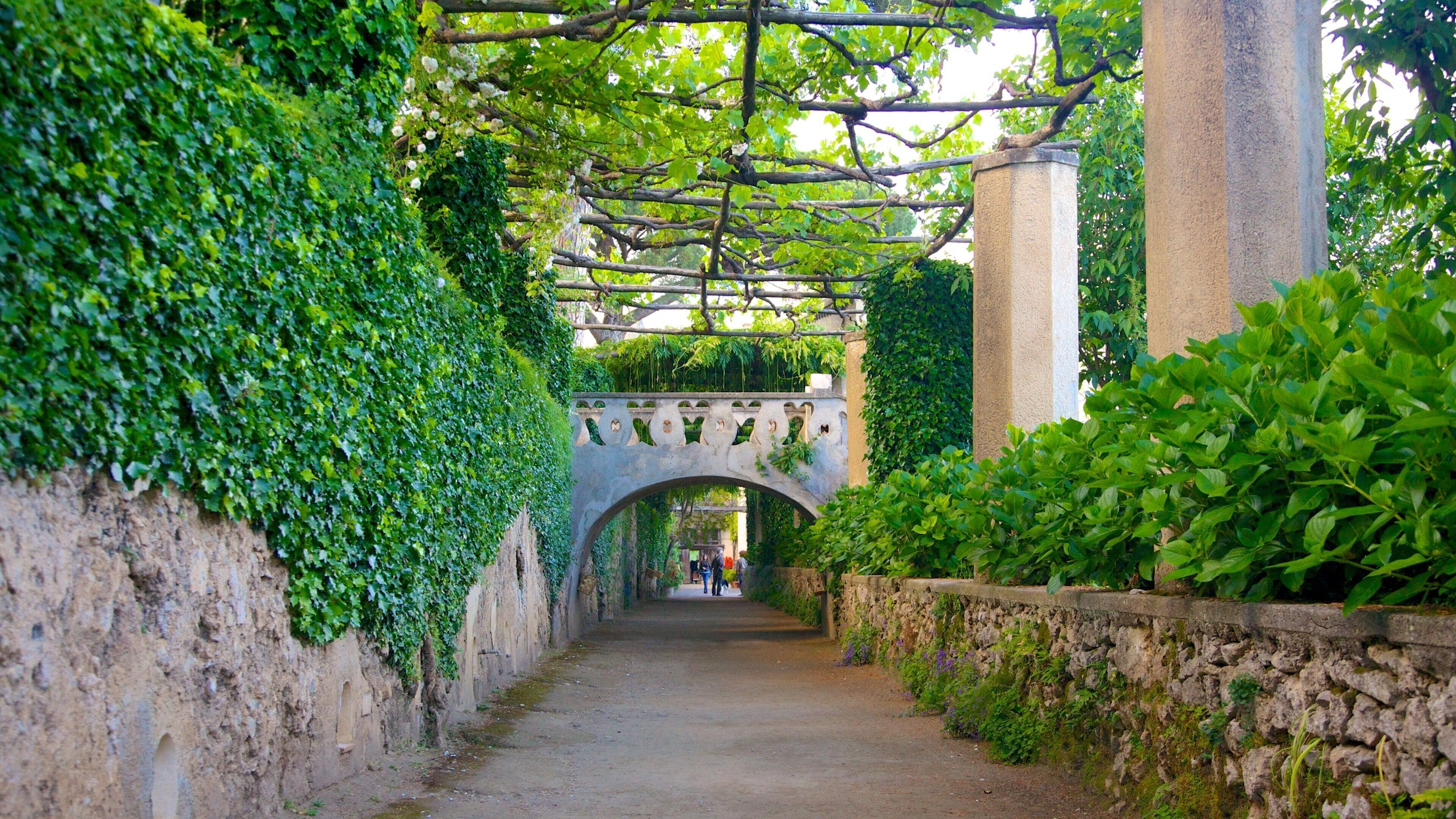 Amalfi Coast which includes a park