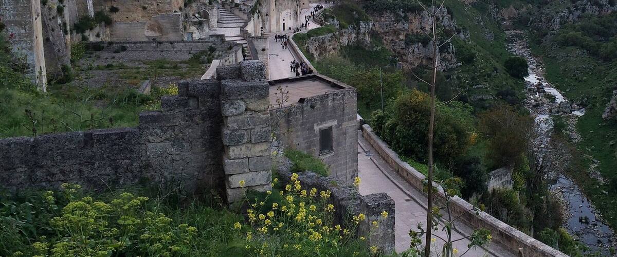 0_1afbcfd5-4f7e-4064-9242-227e15ae93f5_raw