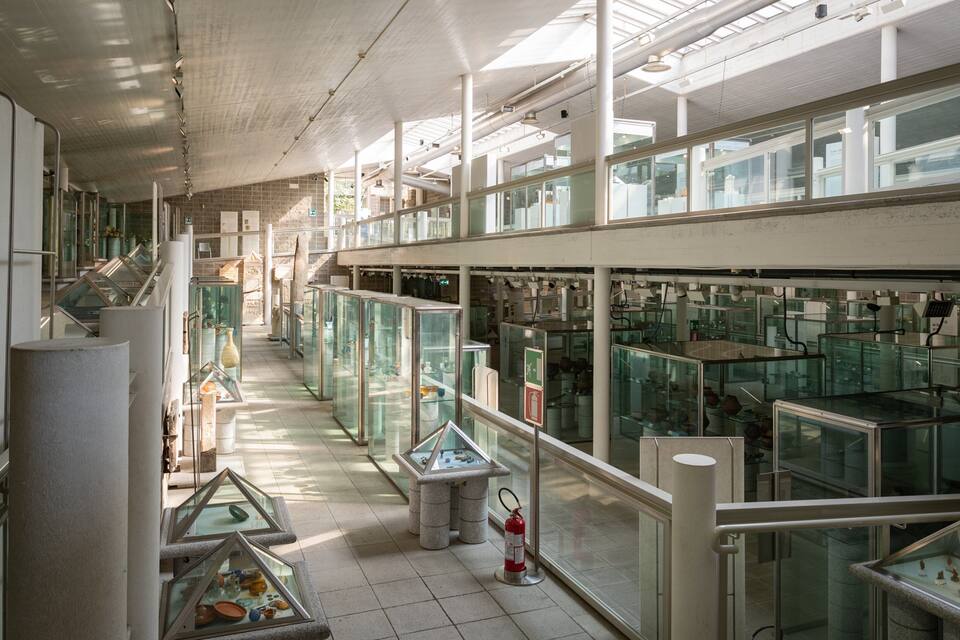 Ein Museum mit Glastrennwänden, die verschiedene Artefakte zeigen.