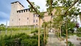 A vineyard with a pergola structure in front of a historic building.