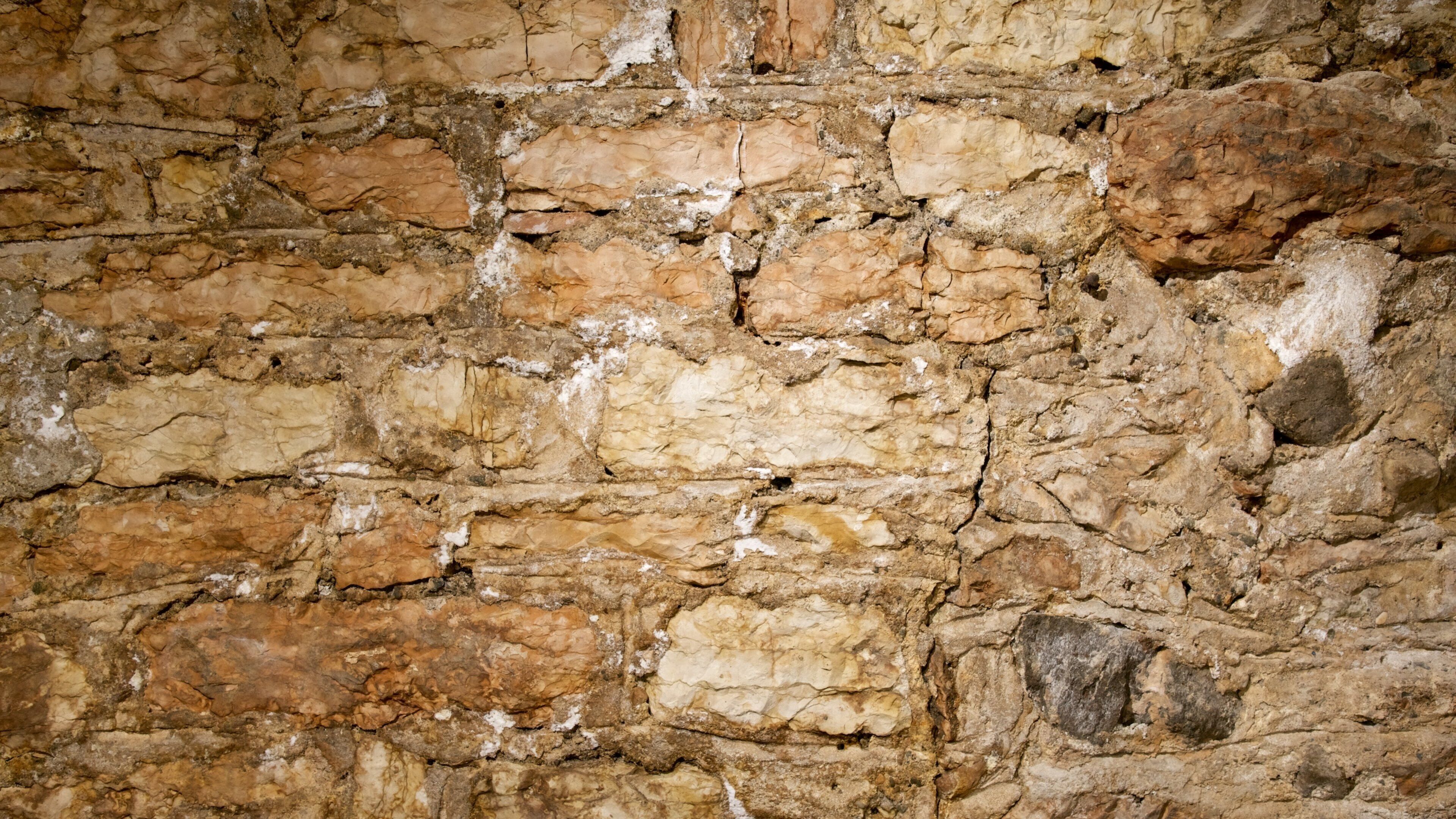 Tridentum Sotterranea