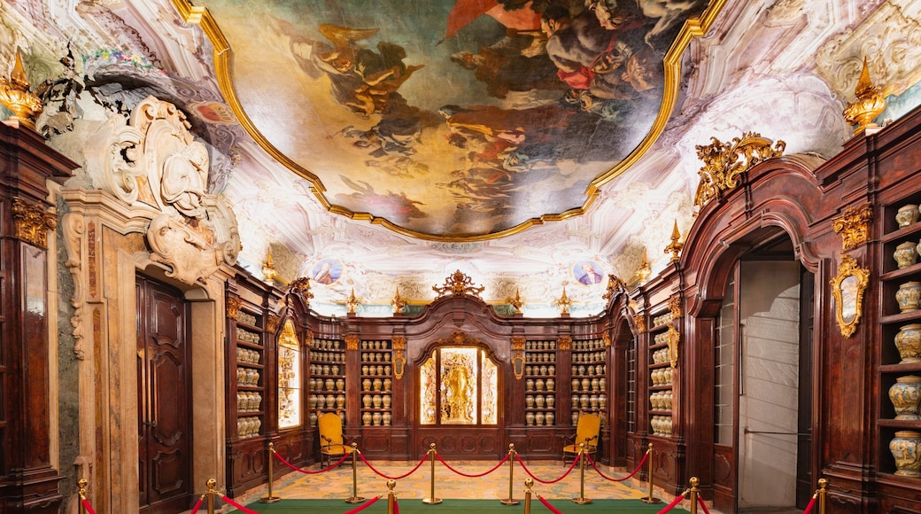 Museo delle Arti Sanitarie e Di Storia della Medicina which includes interior views, heritage elements and art