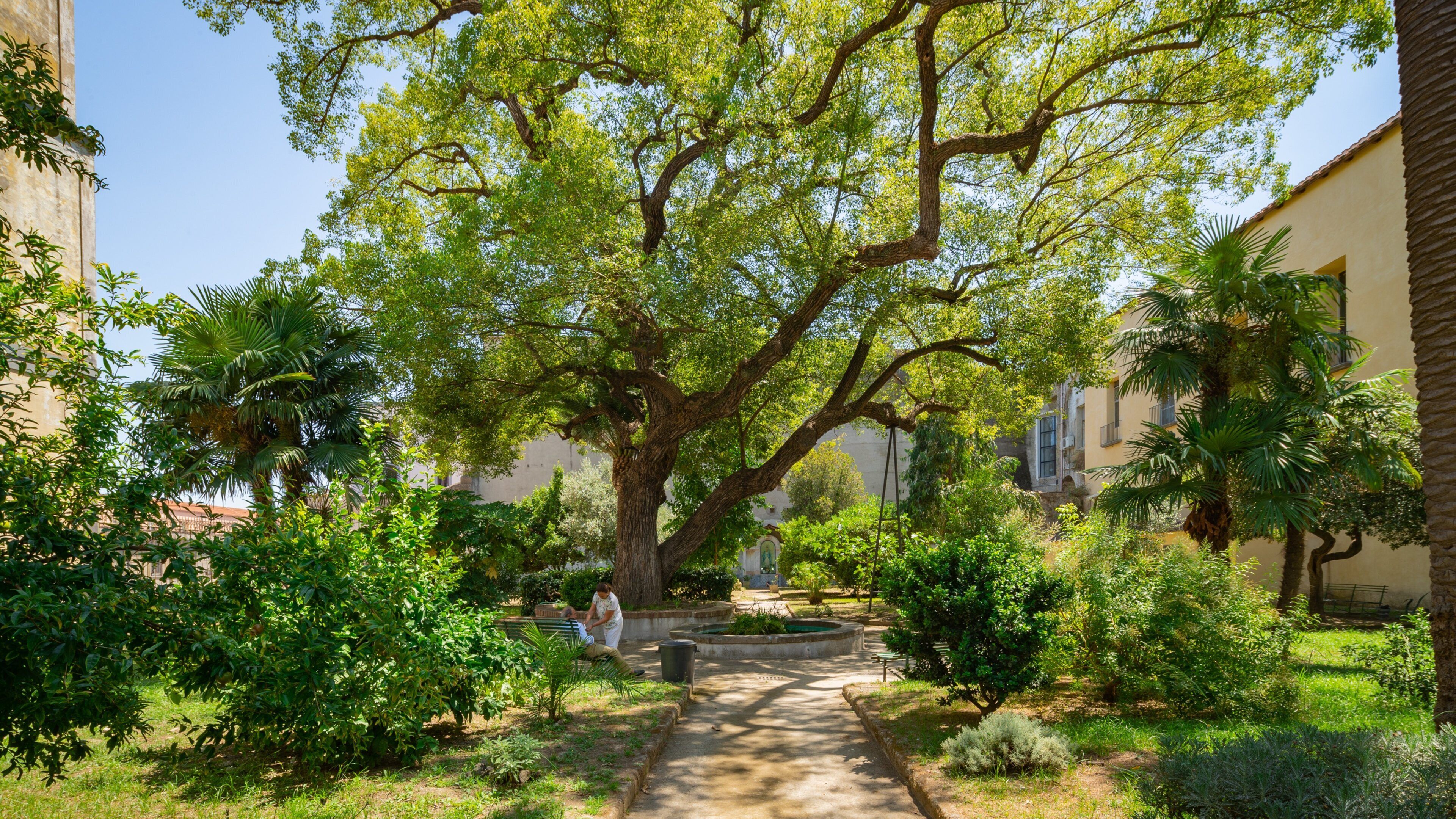 Museo delle Arti Sanitarie e Di Storia della Medicina which includes a park