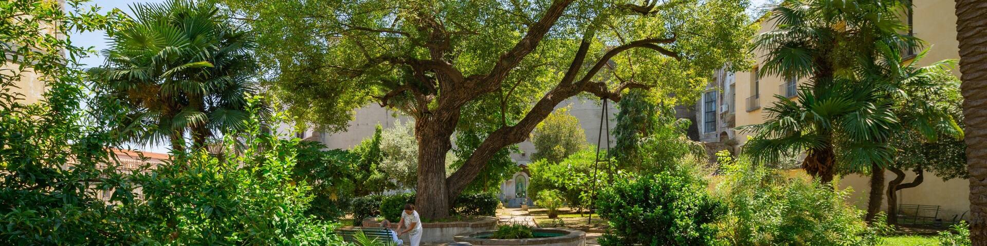 Museo delle Arti Sanitarie e Di Storia della Medicina which includes a park
