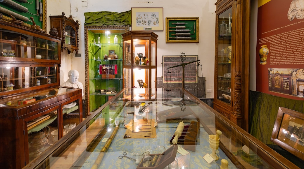 Museo delle Arti Sanitarie e Di Storia della Medicina featuring interior views and heritage elements